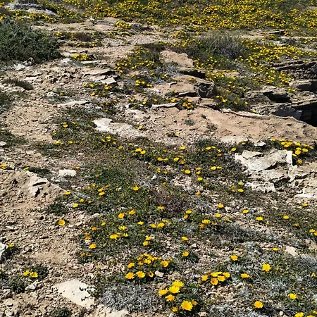 Miramar Sea View טורבייחה